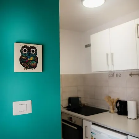 Apartment Owl's Nest
