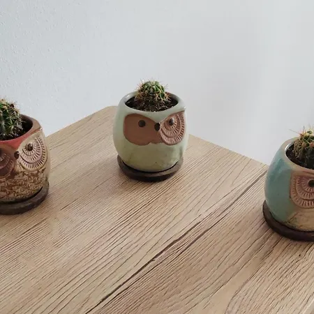 Owl's Nest Apartment